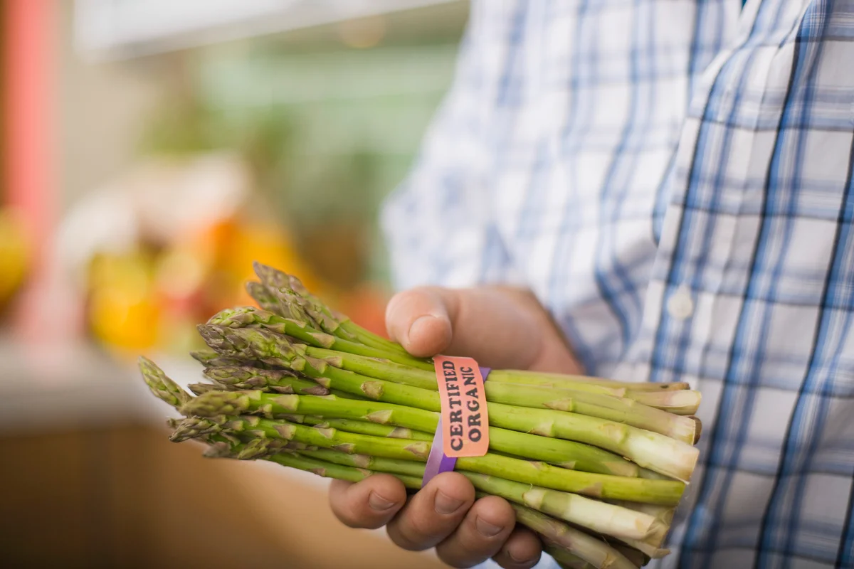 person holding organic asparagus