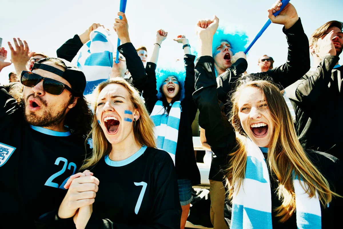 fans at a sporting event
