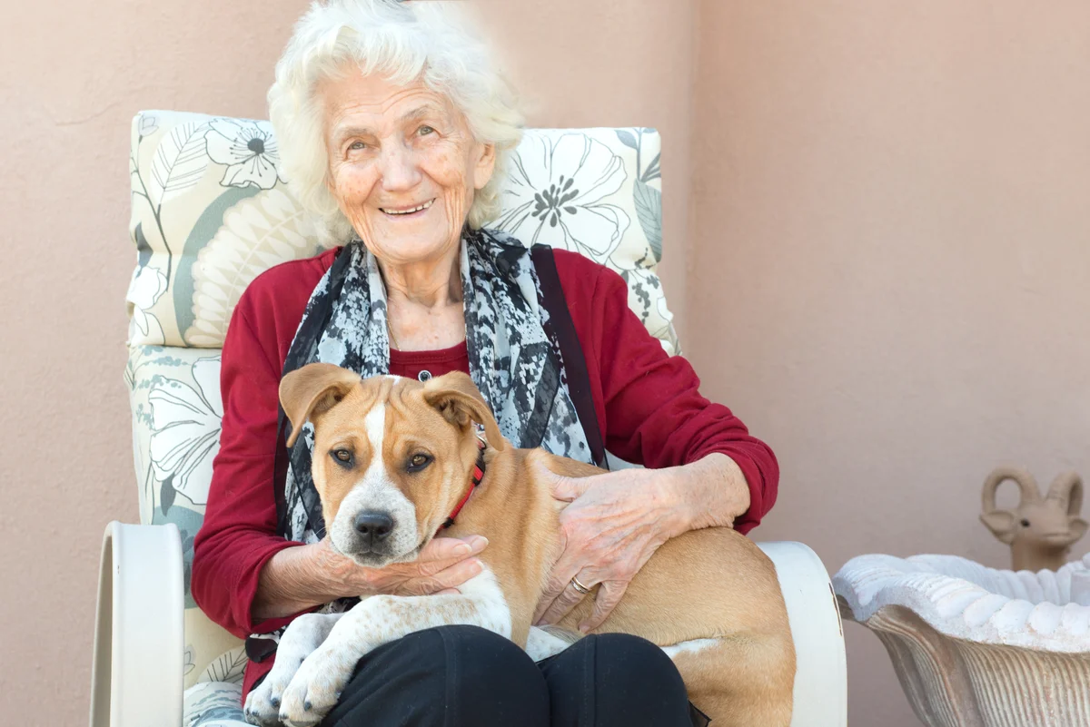 senior with puppy