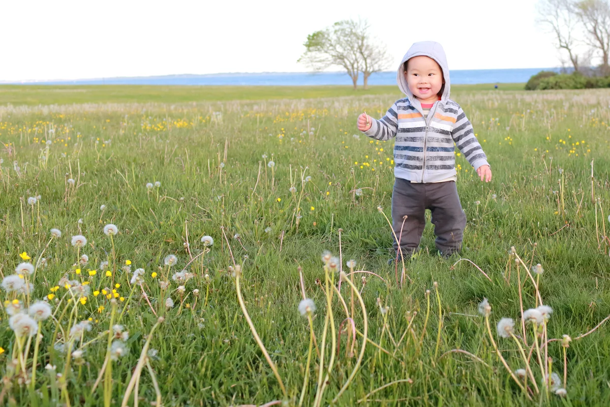 toddler in wildflower field