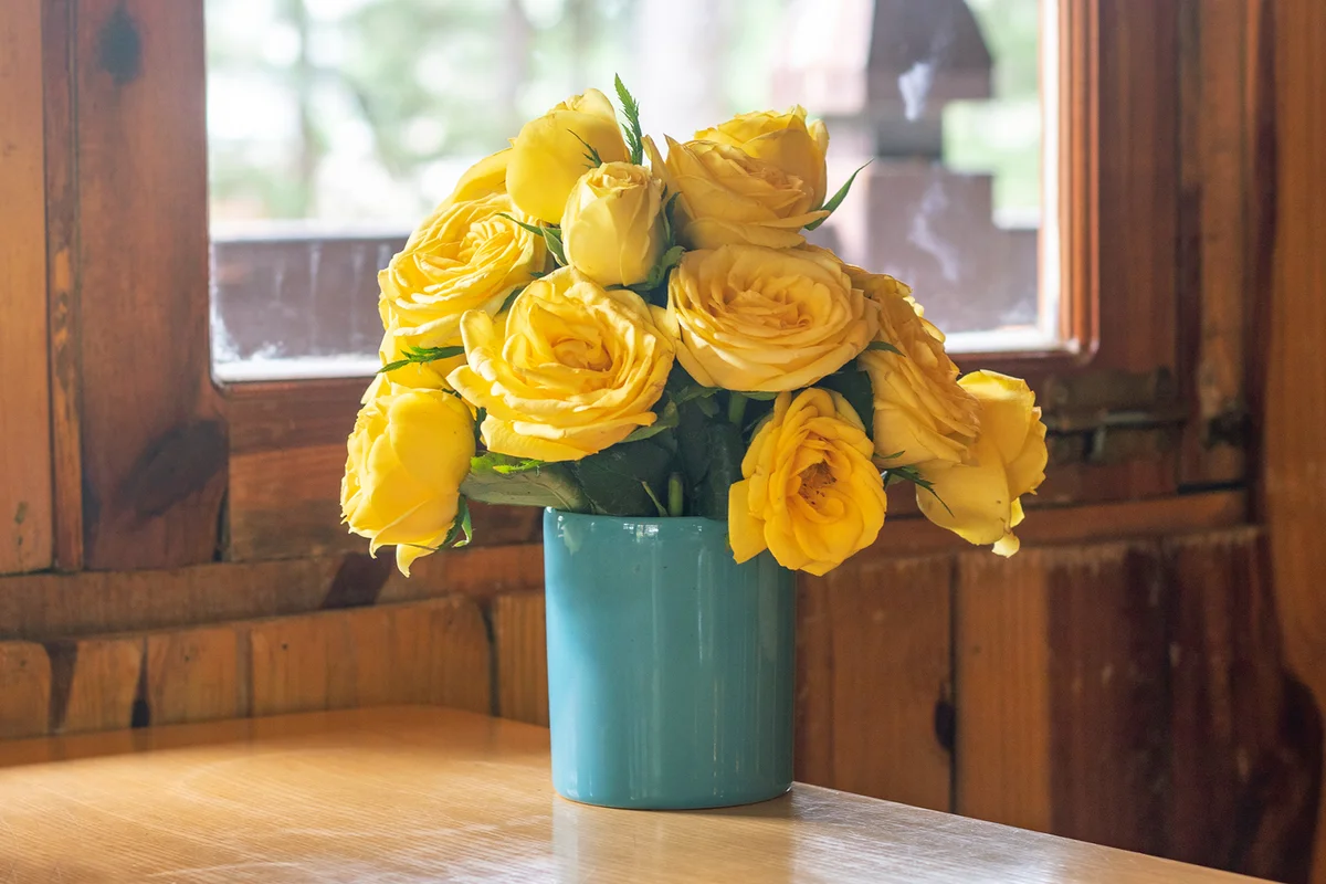 Yellow rose bouquet on table by window