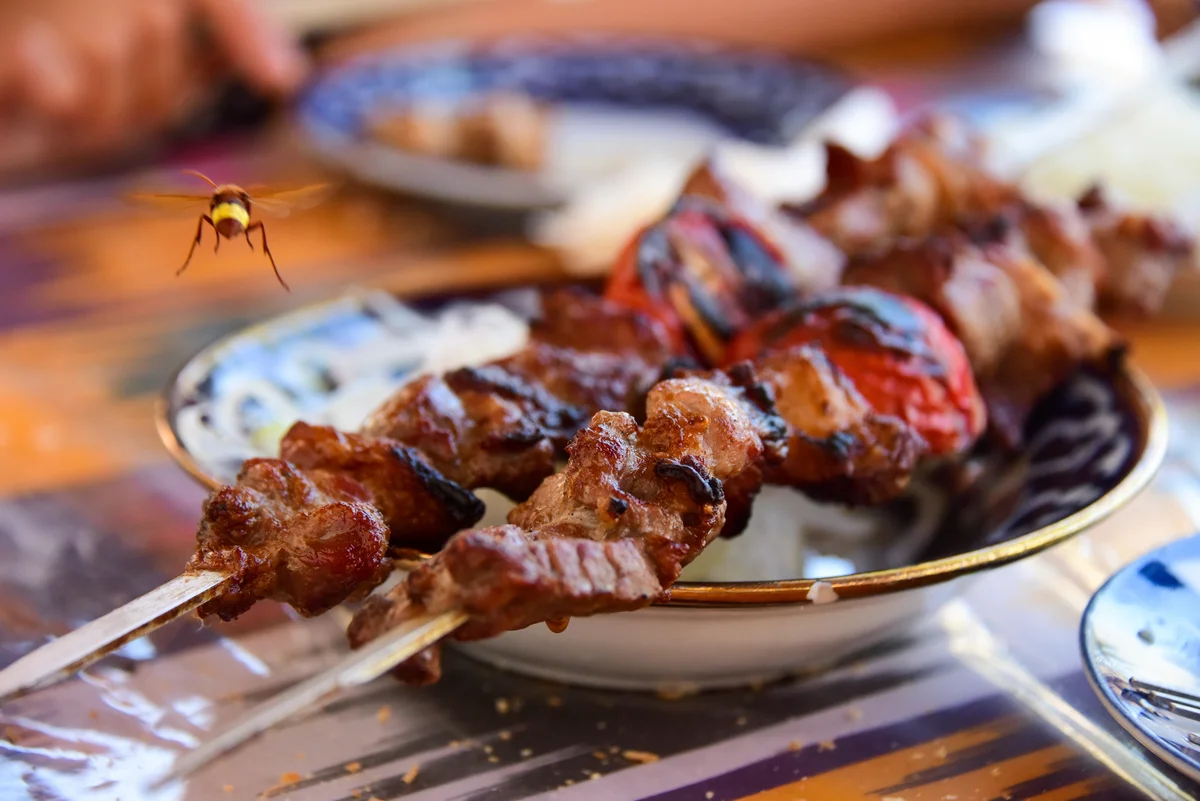 wasp hovering over skewers