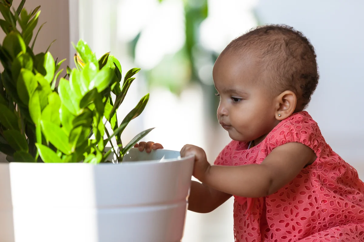 baby girl about to touch plants