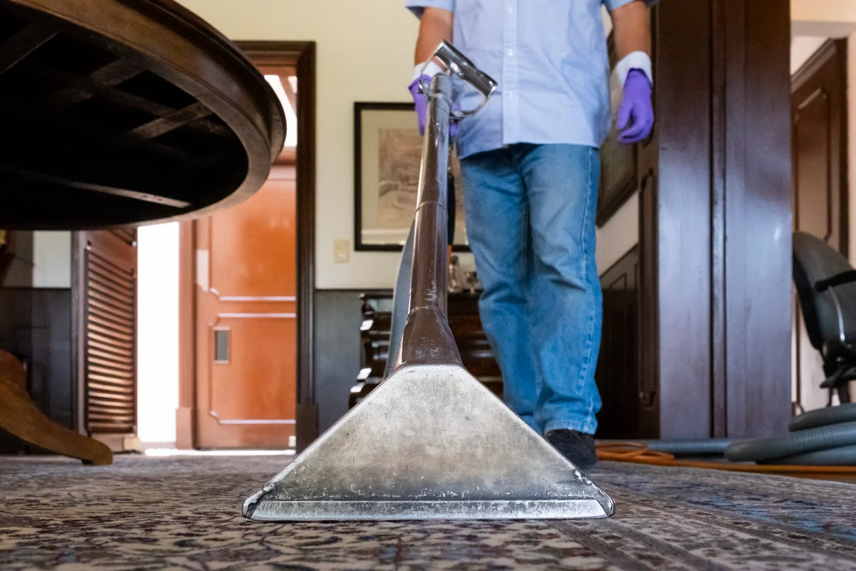 carpet cleaner