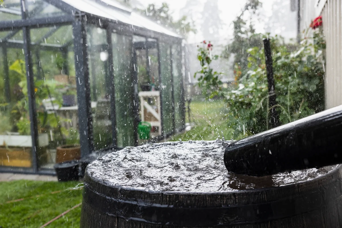 rain barrel