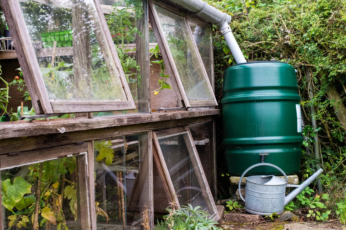 plastic rain barrel