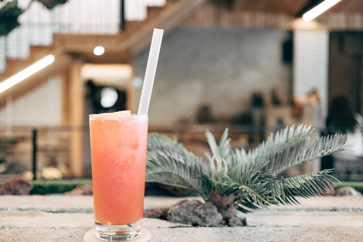 Cold Drink and Plant
