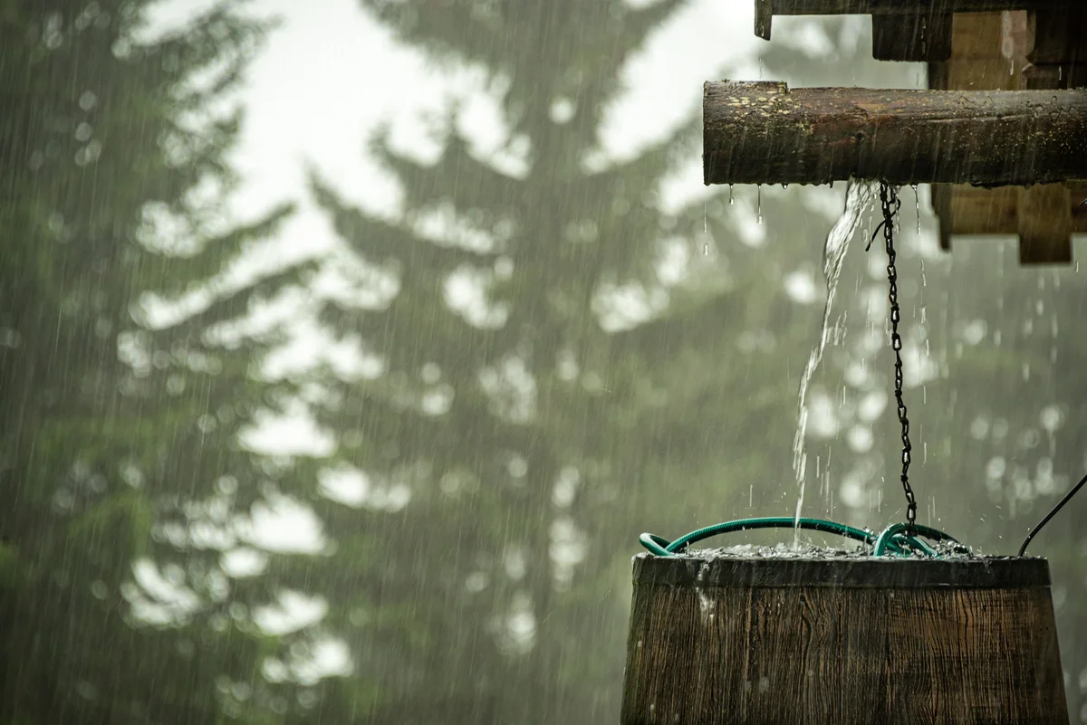 rain barrel on a rainy day