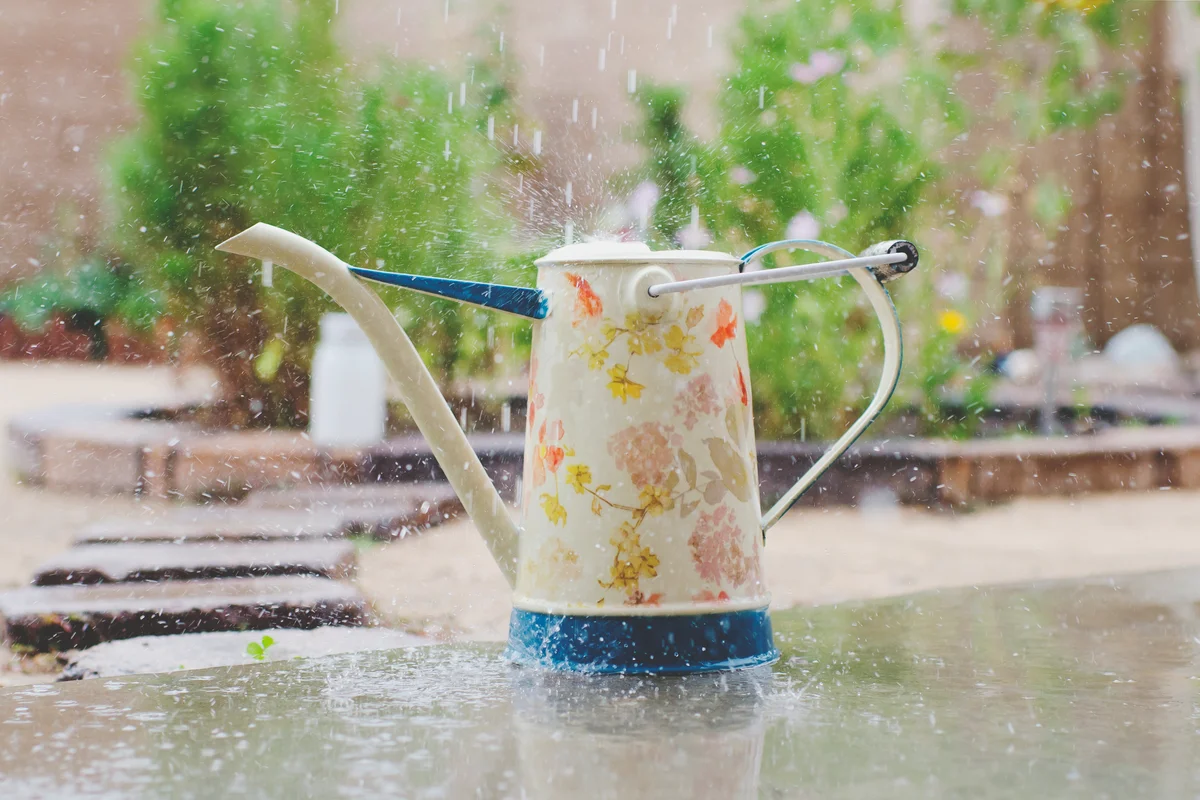 metal watering can