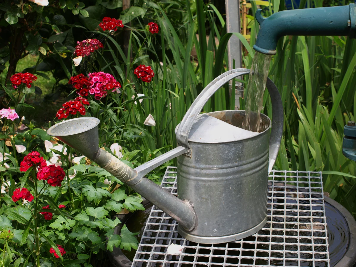 filling a watering can
