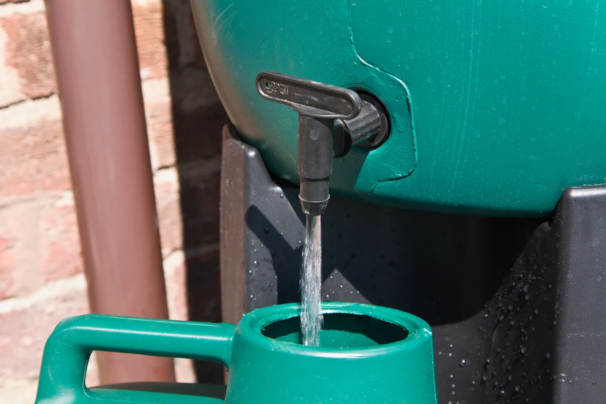 filling a water can from a rain barrel