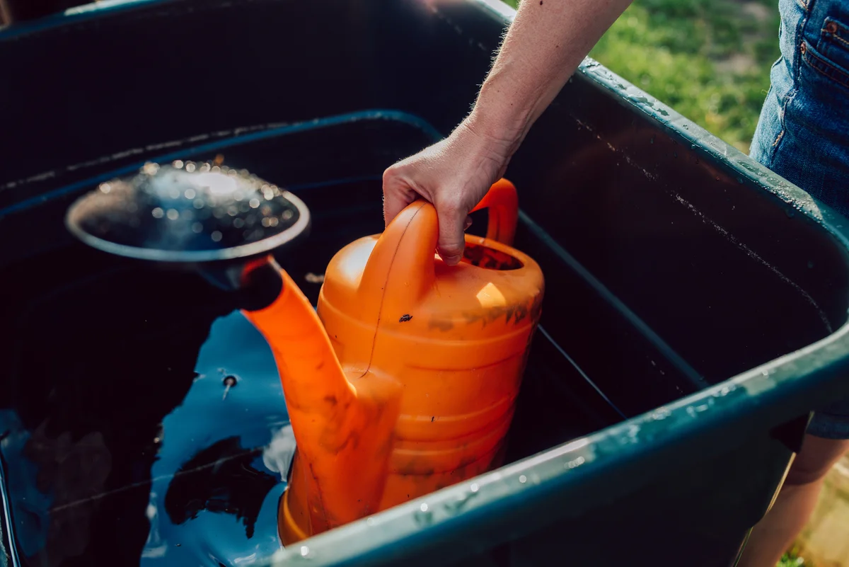 orange watering can