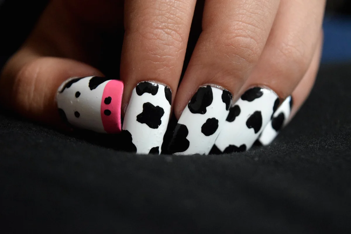 Women's fingernails with cow nail art
