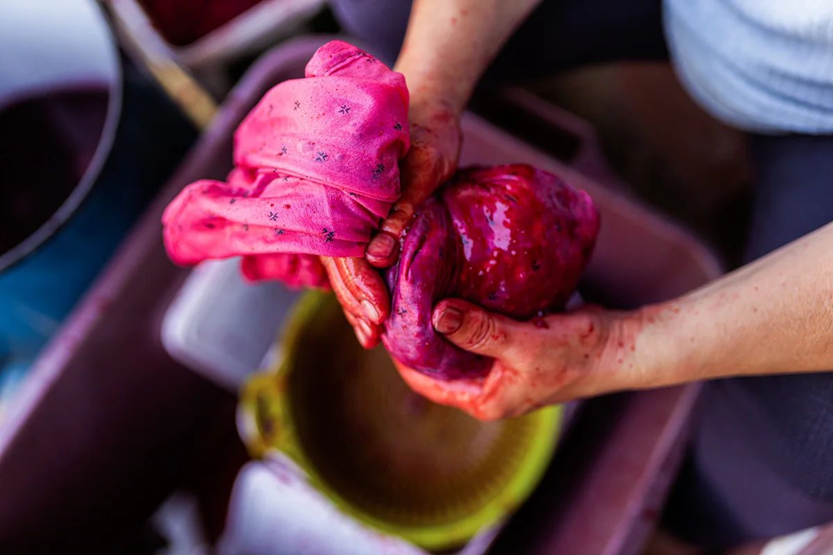 Woman hands dyeing clothes