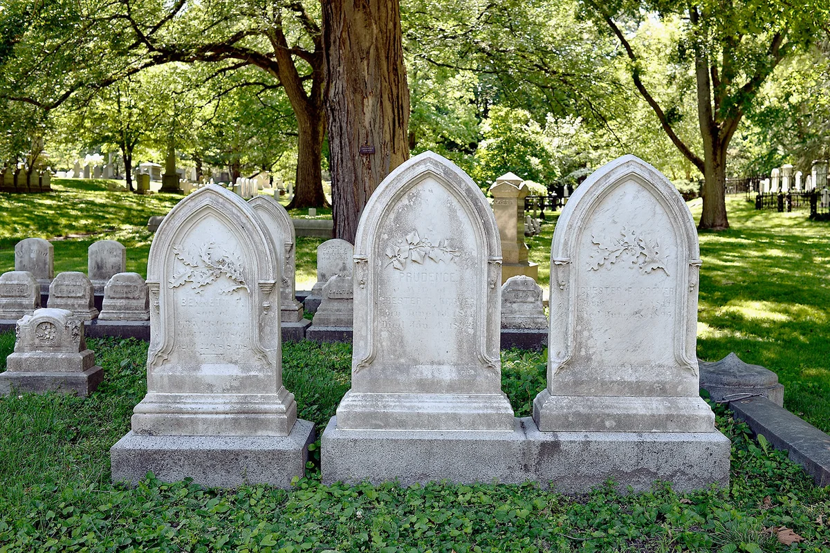 A general view of historic Mt. Auburn Cemetery - Getty Editorial