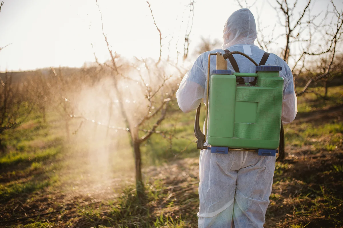 spraying trees with pesticide