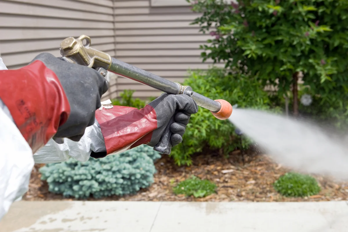 mosquito fogging