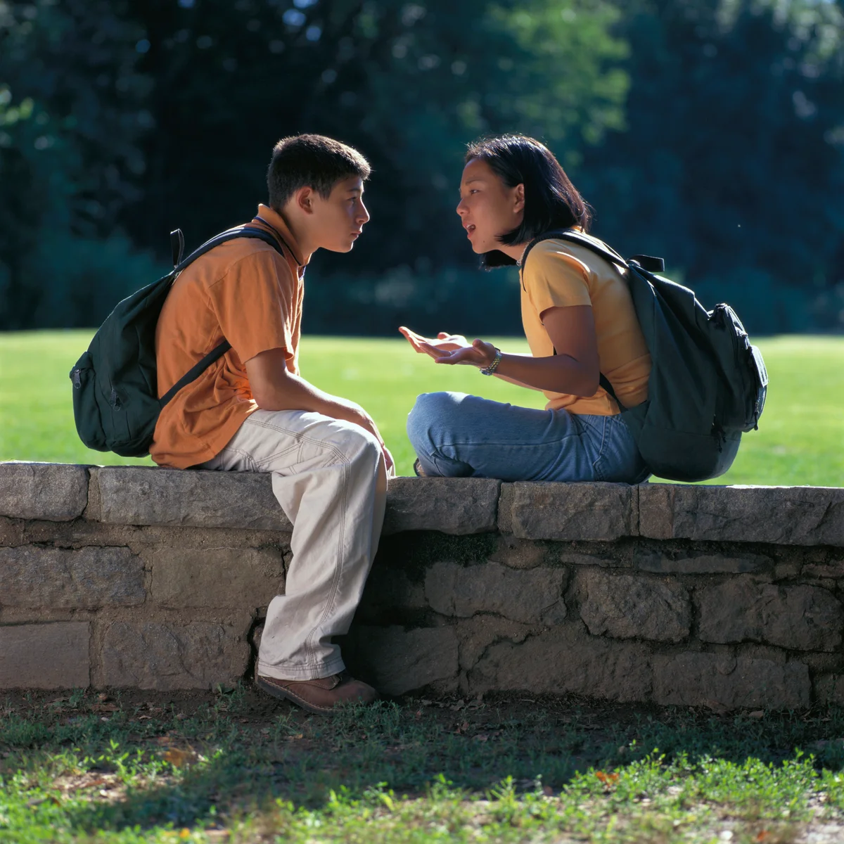 Boy and girl teens sitting on a wall talking