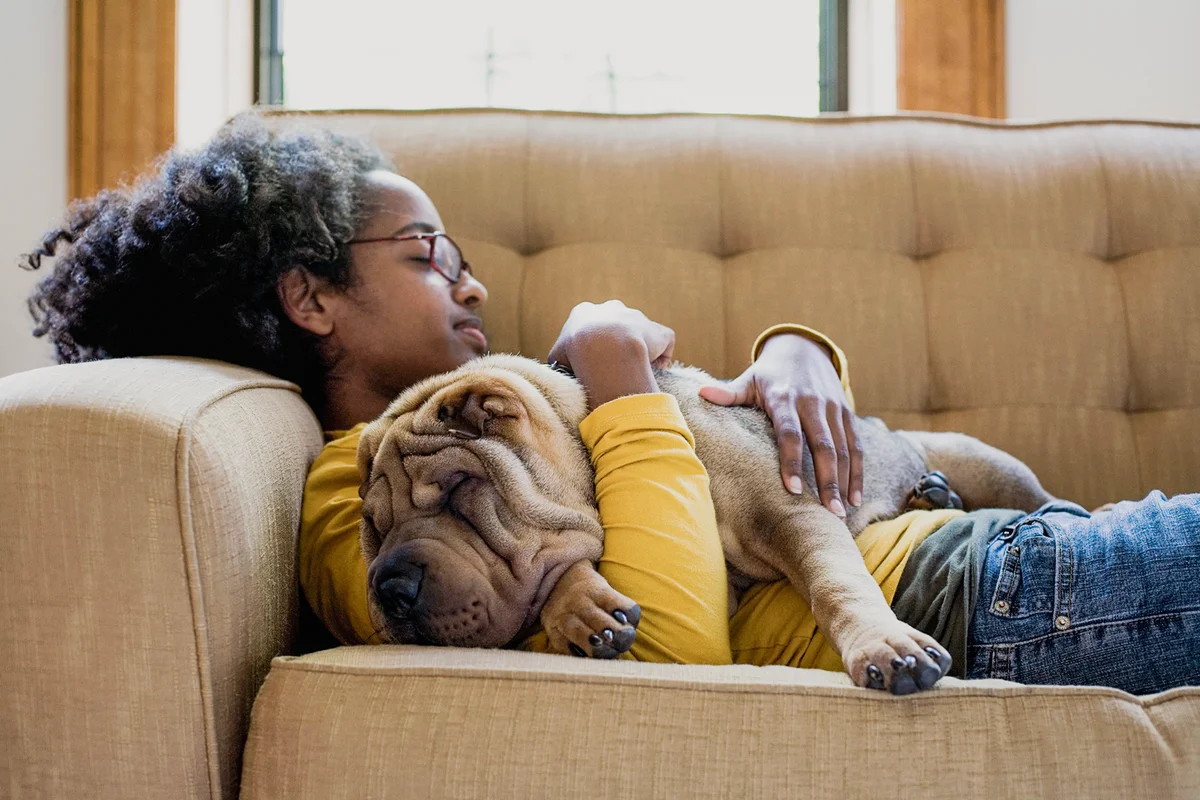 A young woman and her Shar-Pei napping on a couch