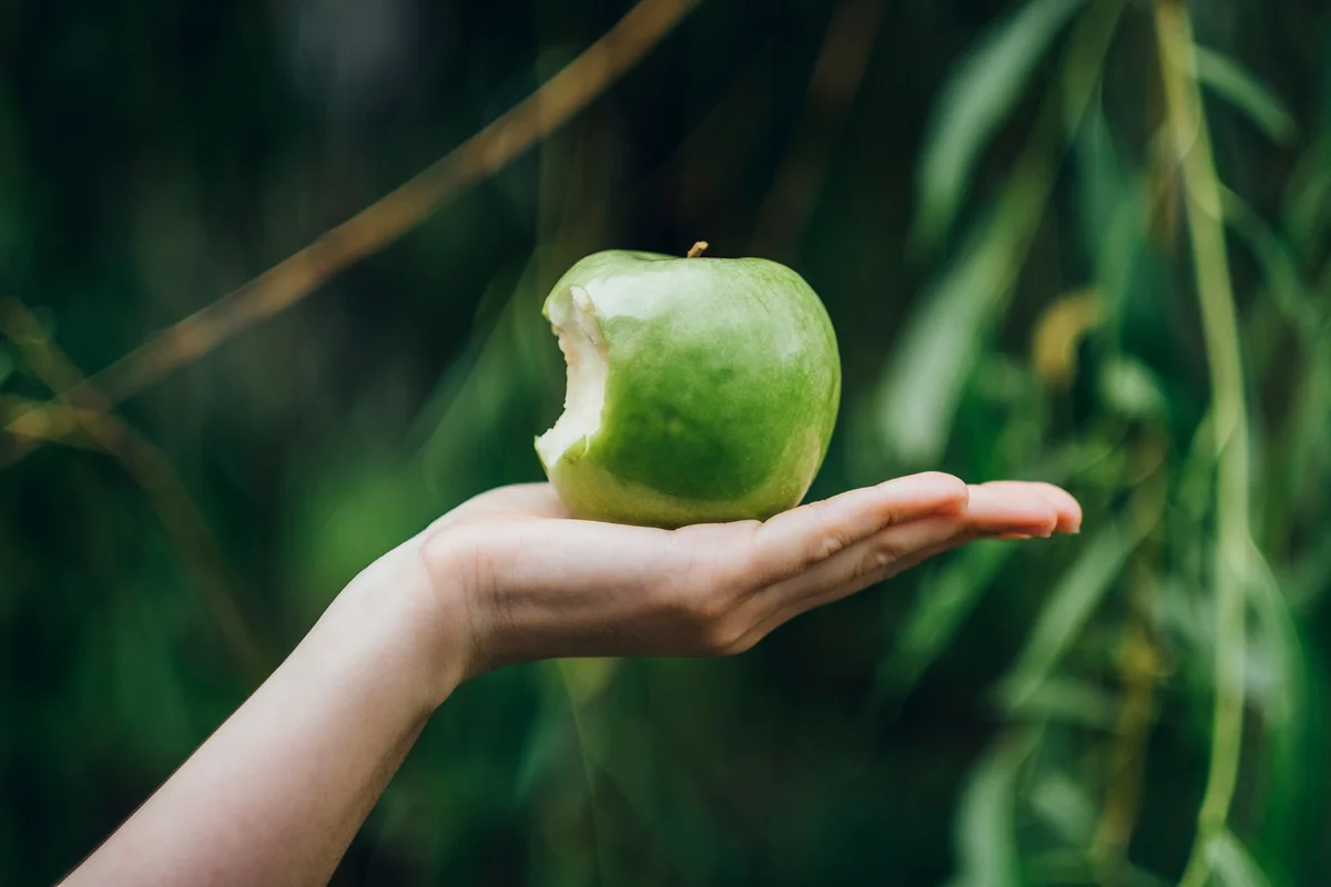 Woman's hand holding bitten apple