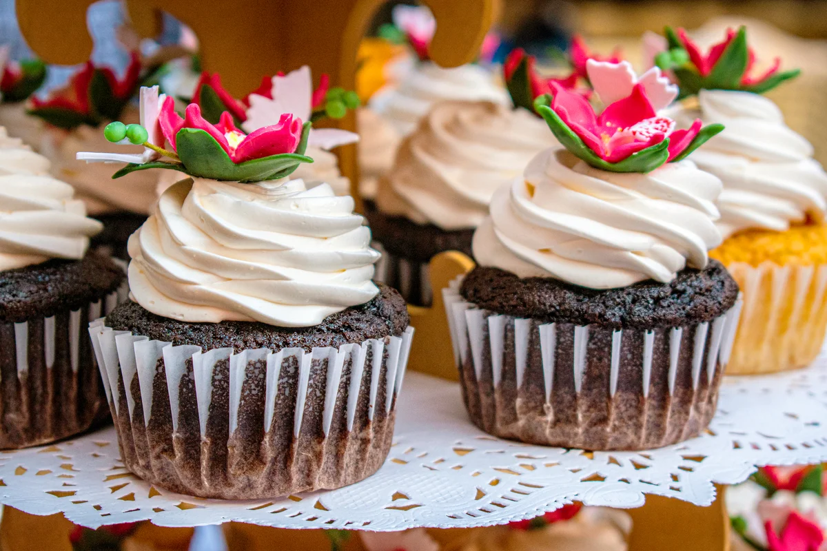 Chocolate and vanilla cupcakes with frosting