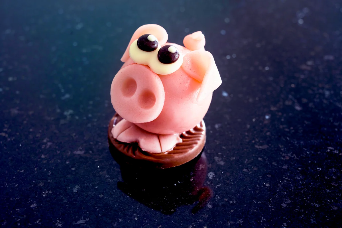 Pig Cake with pink Marzipan and chocolate