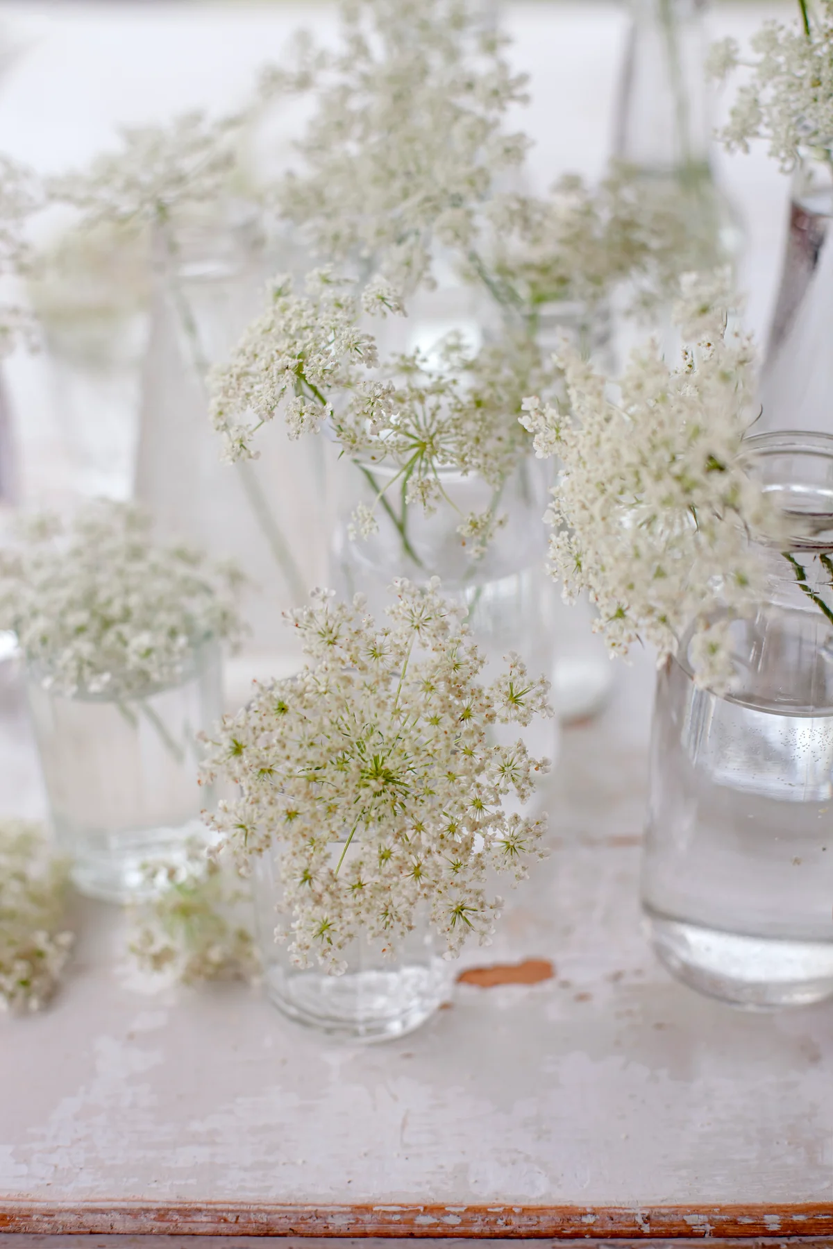 Wedding table decorated with white wildflowers in vases