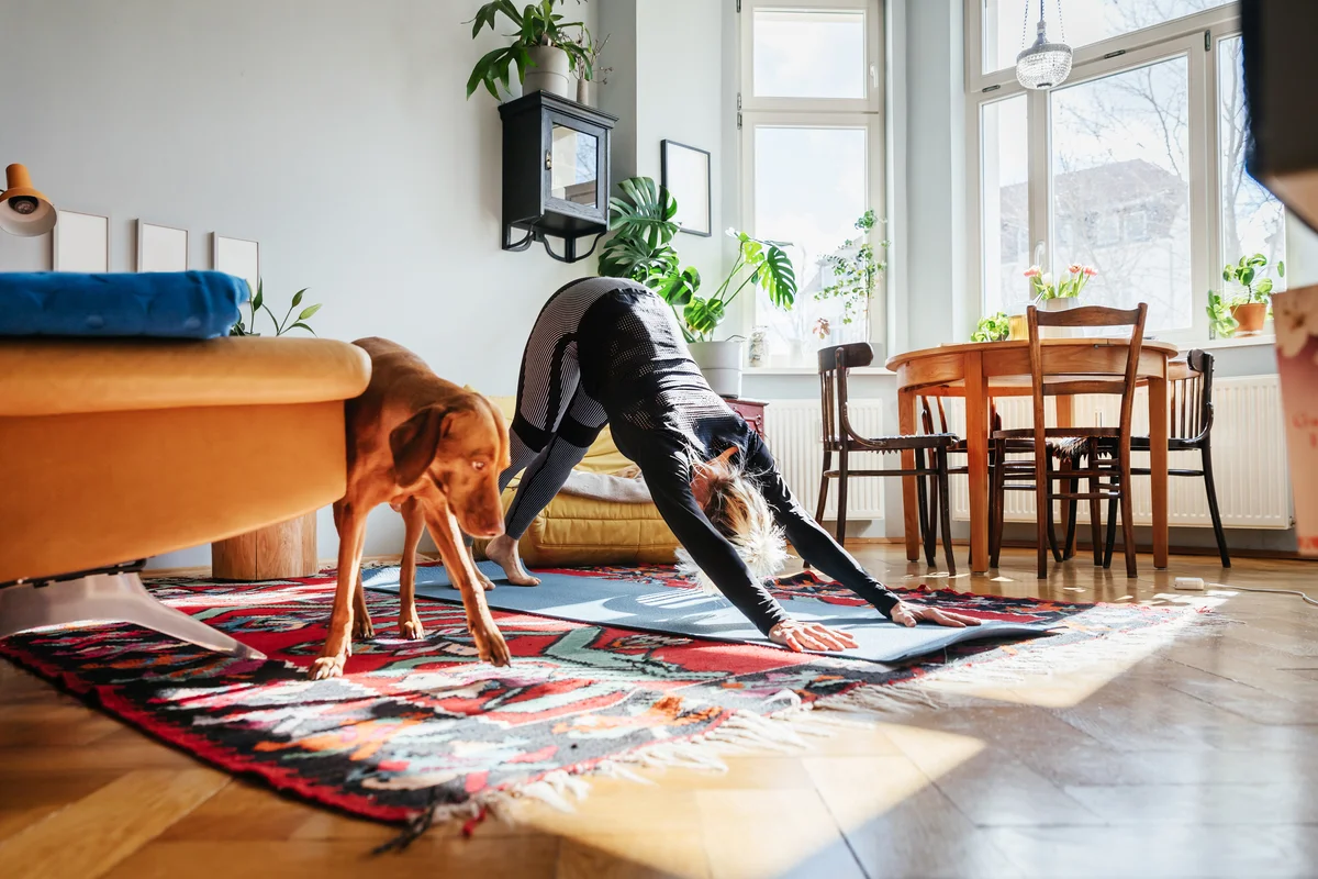 doing yoga with dog