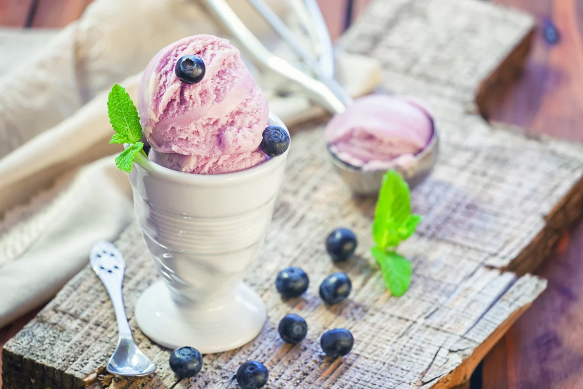 Homemade Blueberry Ice Cream