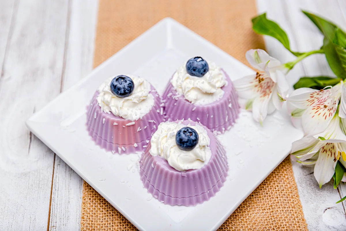 Homemade blueberry creamy yogurt jello with whipped cream and fresh blueberries on top