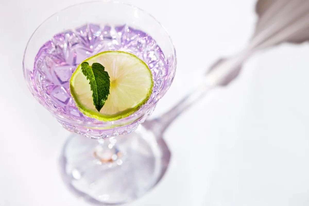 blueberry gin and jam