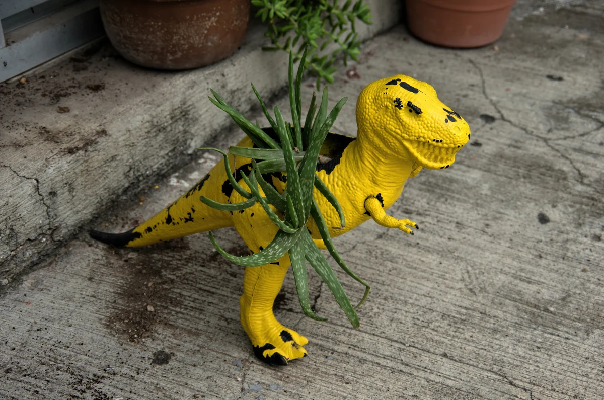 dino succulent planter