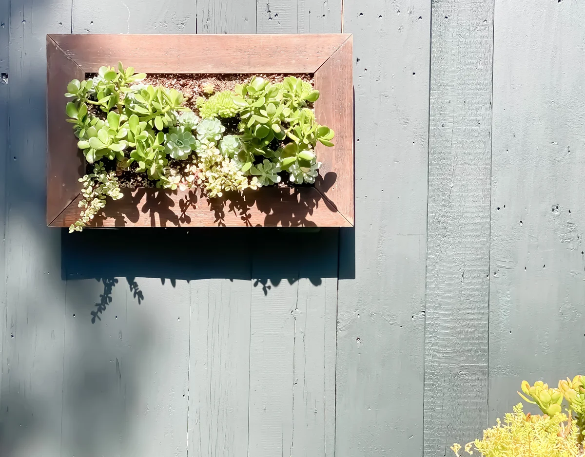 vertical garden
