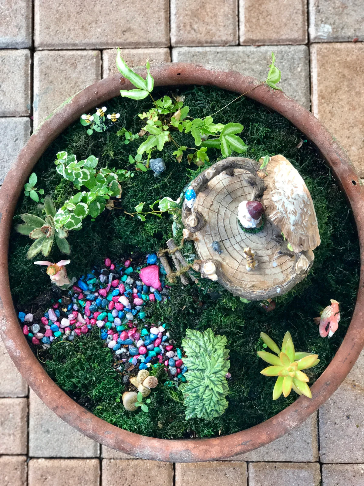 fairy garden