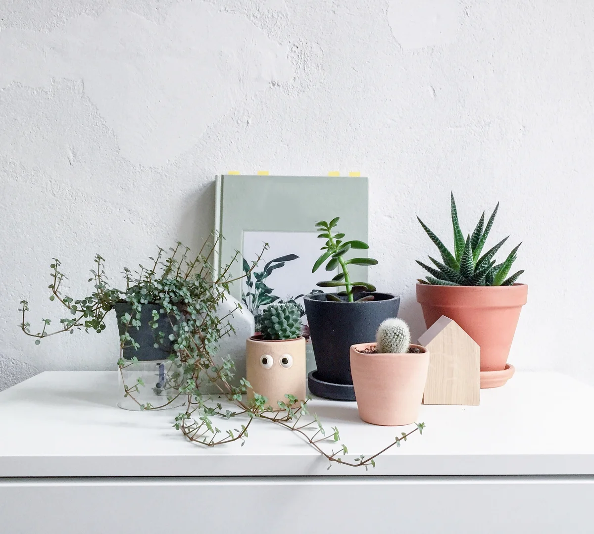 grouping of planters