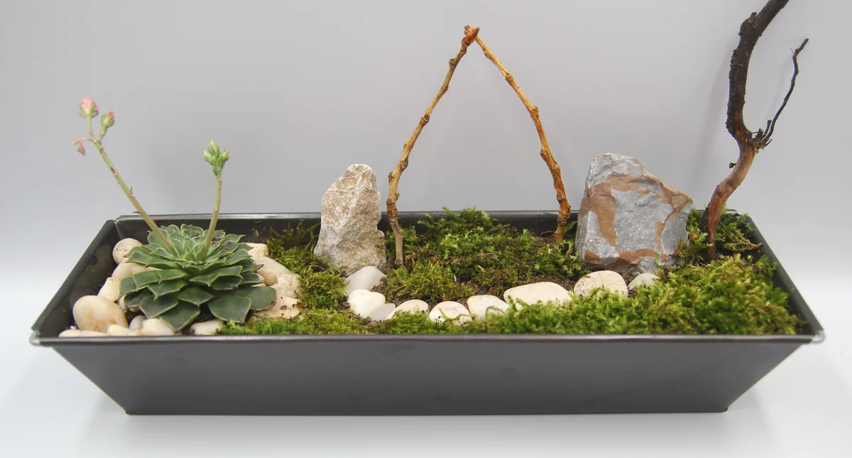 zen garden
