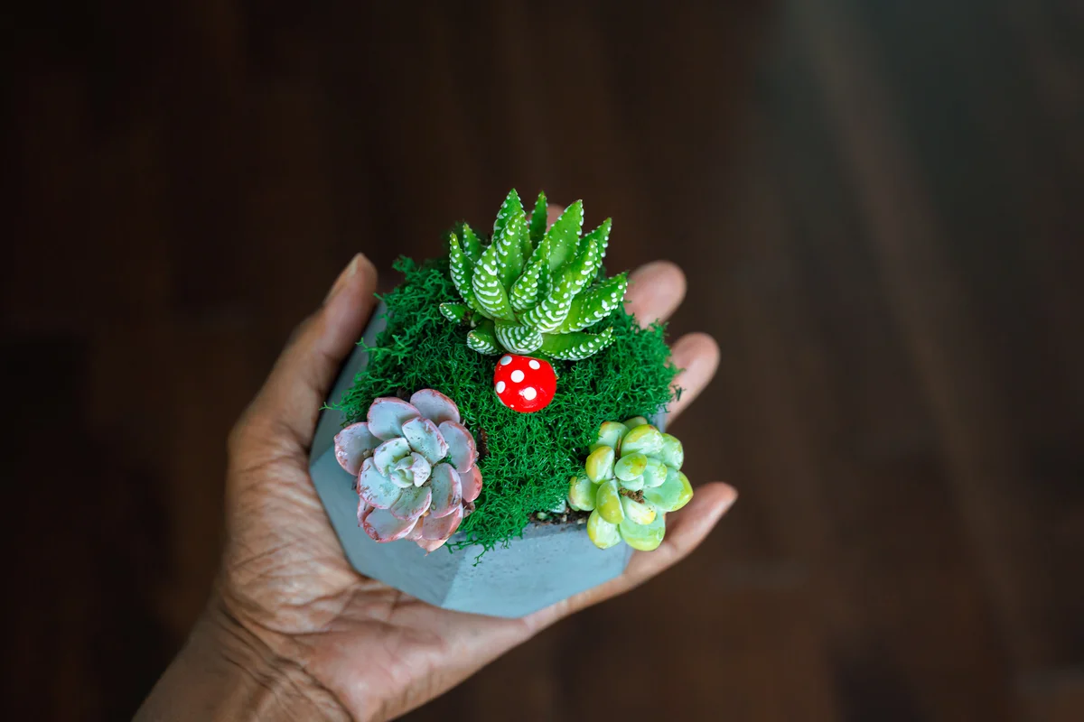 tiny fairy garden