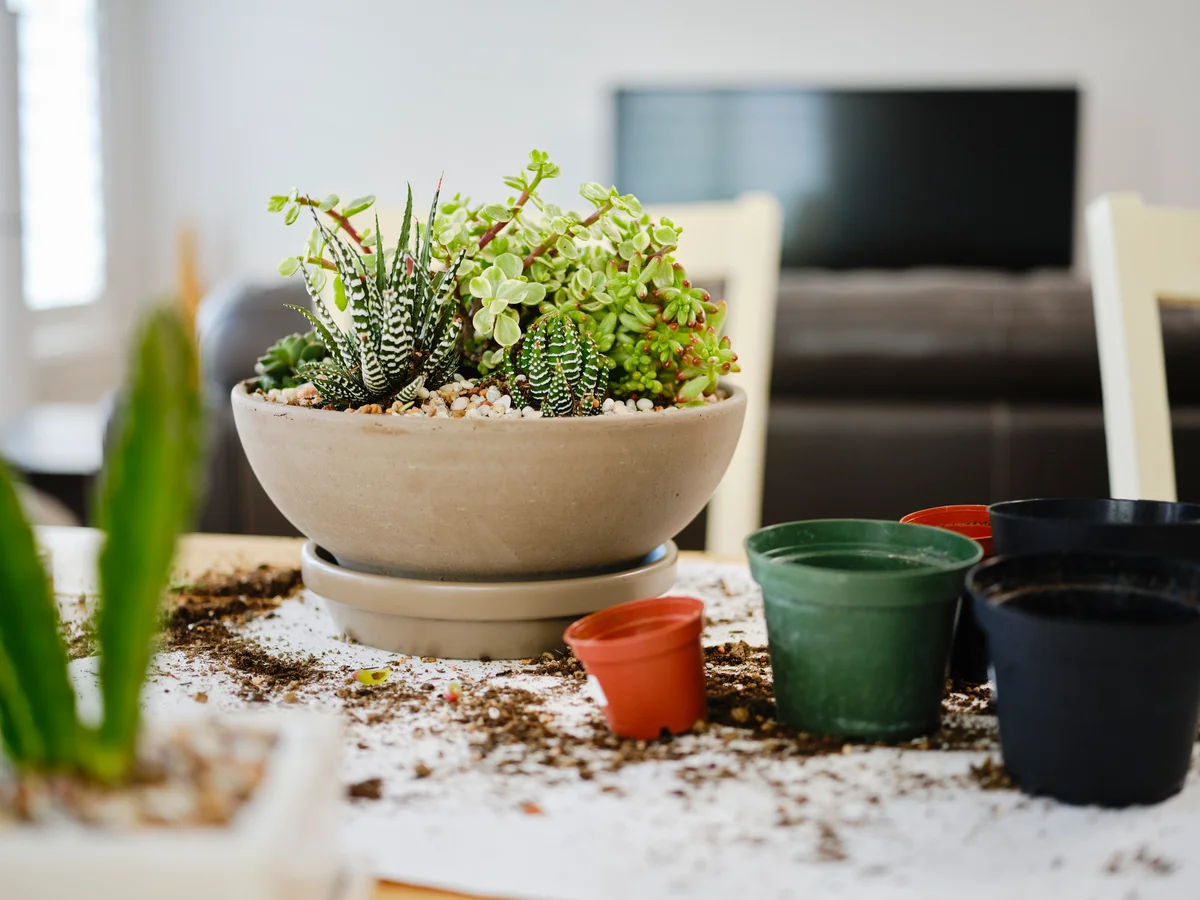 muted planter