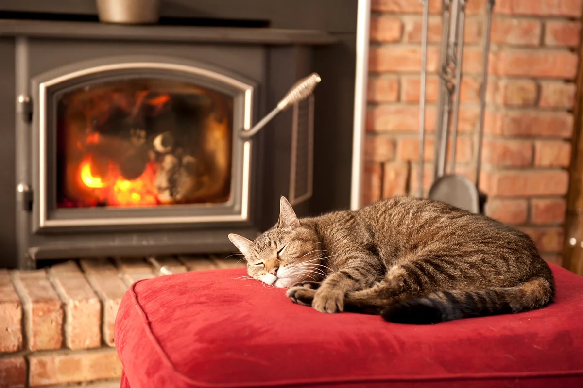 An old tabby cat soaks up the heat in front of a wood burning stove.