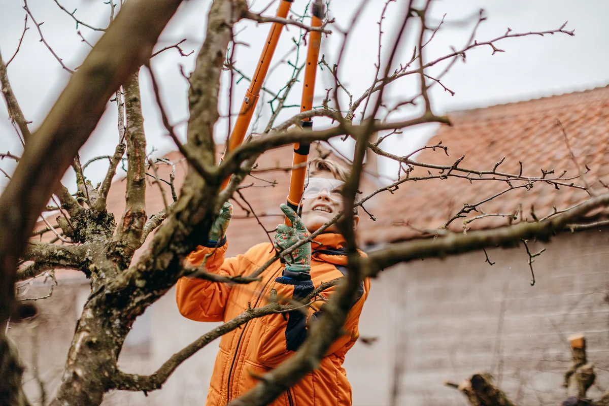 Kid helping cutting branches in the garden
