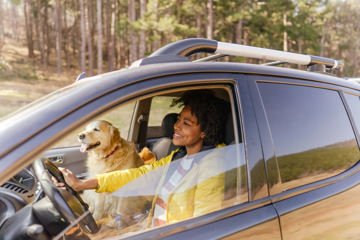Woman driving her car with dog in the fall