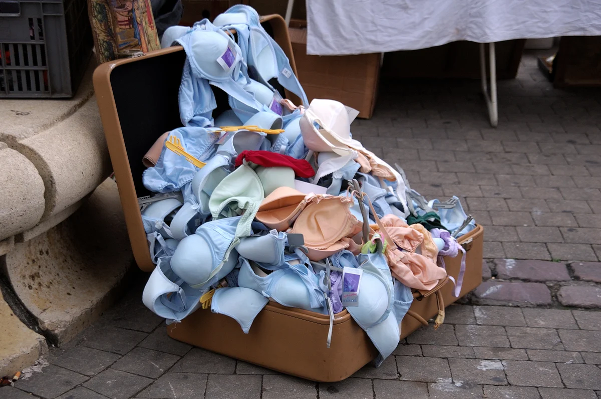 pile of bras