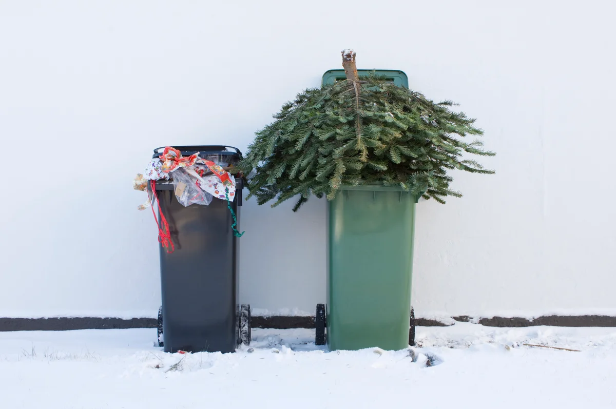 tree in a recycling bin