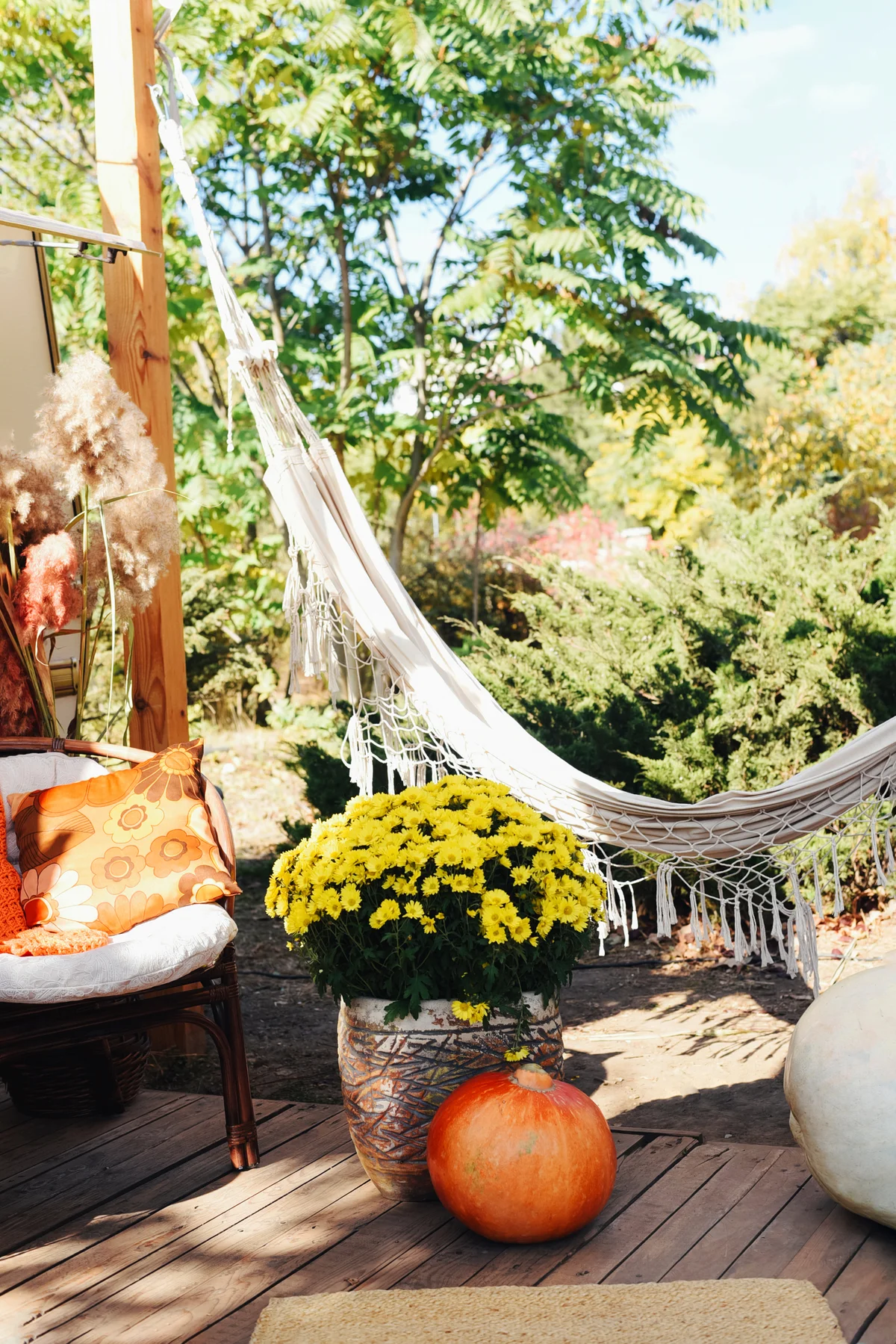 Autumn Hammock