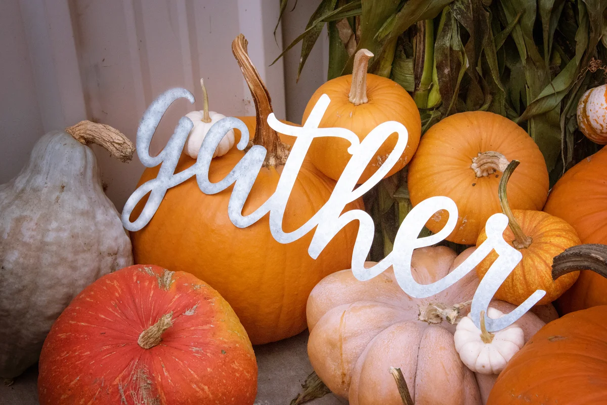 Gather sign on wood surrounded by pumpkins and gourds