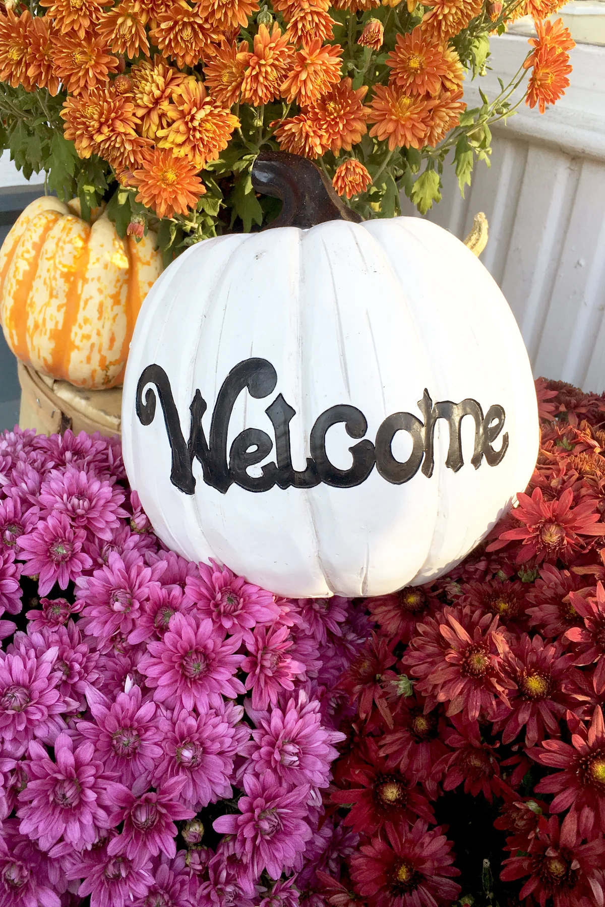 Autumn pumpkin decor with mums and gourds welcoming visitors