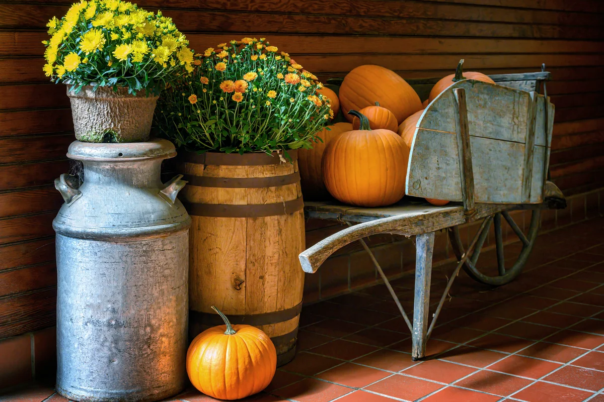 Autumn display at a dairy farm