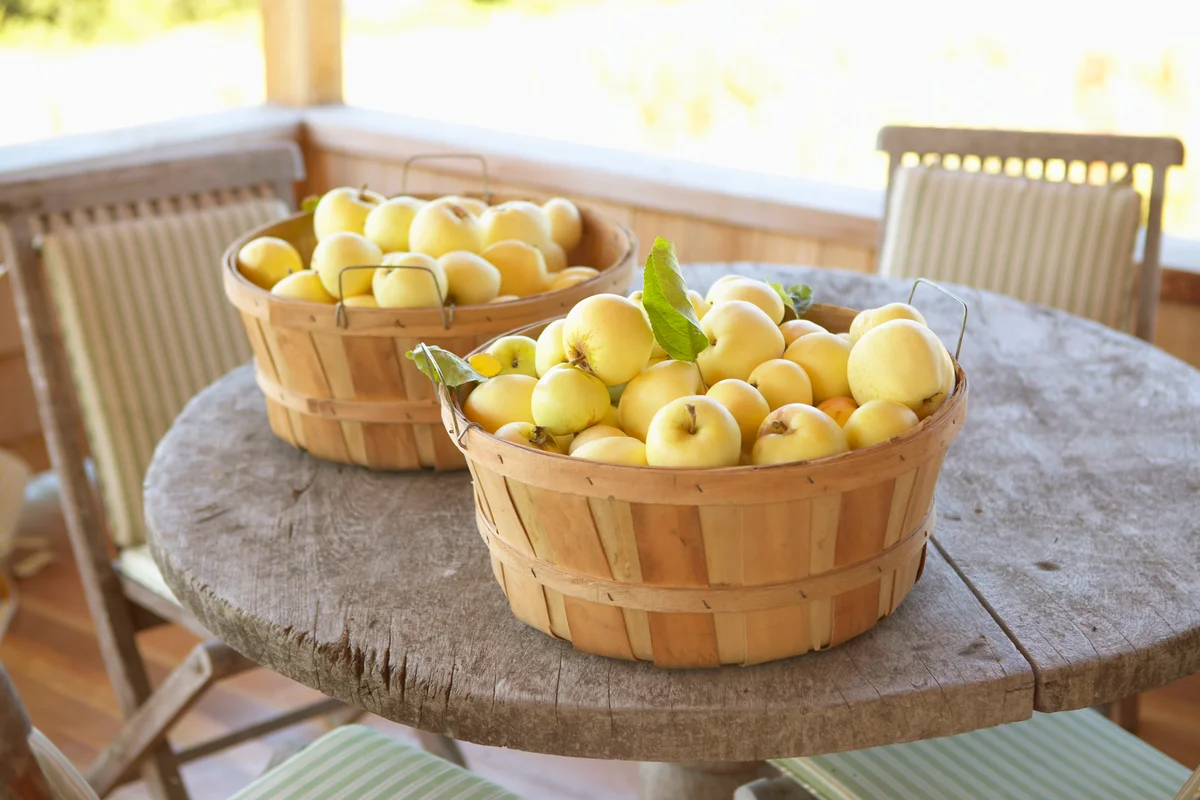 Two baskets of yellow apples sitting on table top
