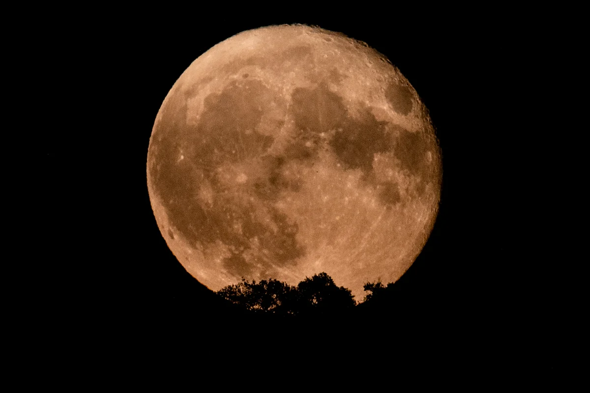 The silhouette of treetops on a hill seen in front of the Sturgeon Super Moon on August 2, 2023 in Turin, Italy.