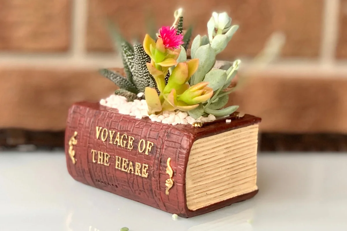 Vintage Book Planter for succulents